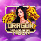 Dragon Tiger gamezone apk live casino